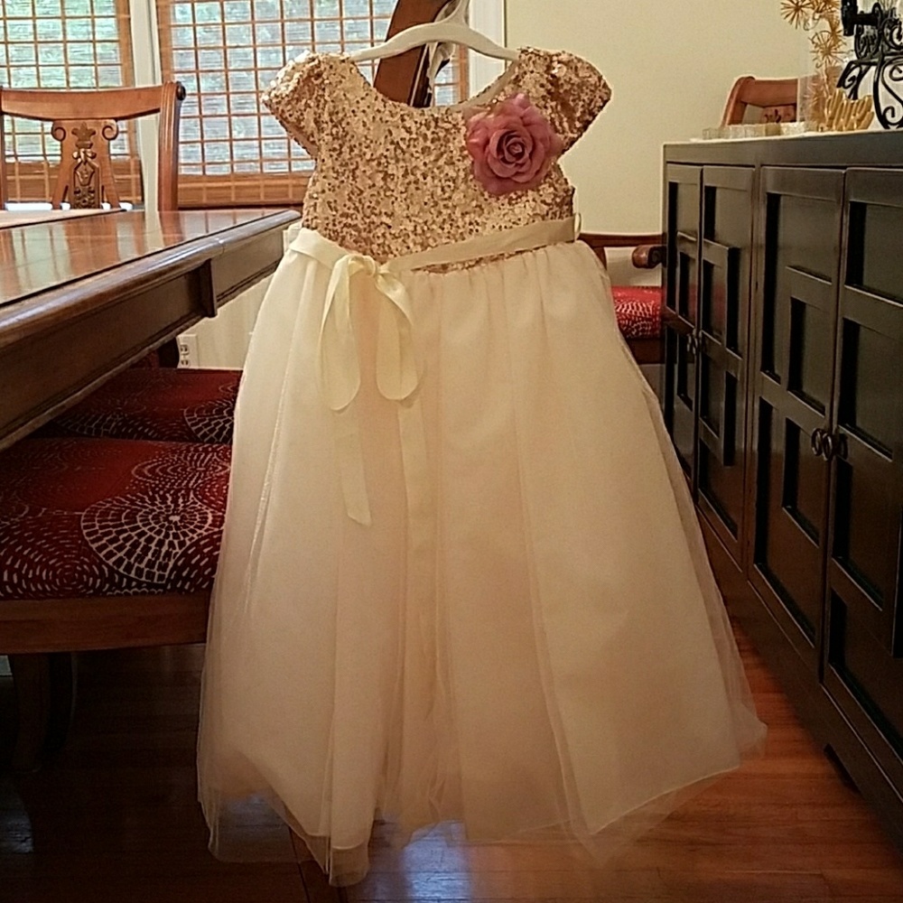 Little Girls Blush Sequin Bodice Floral dress